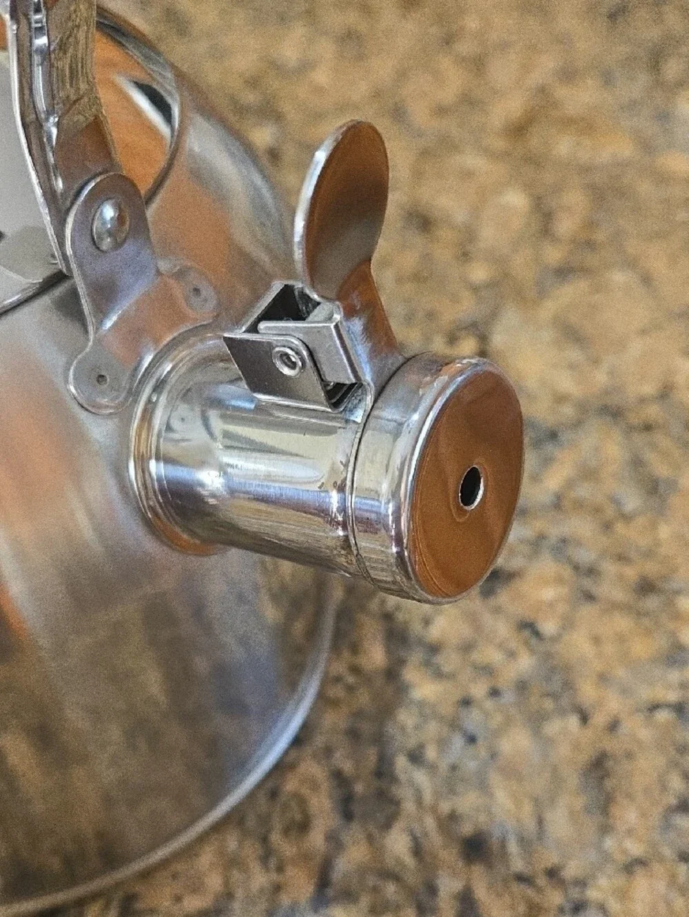 Polished Stainless Steel Whistling Tea Kettle - Silver